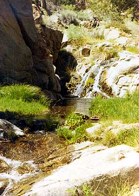 The Middle Pool and its Falls