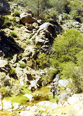 Hiking Below the Lower Falls
